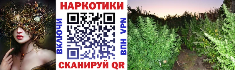 Все наркотики Артёмовский Марихуана  Псилоцибиновые грибы  Гашиш  Меф мяу мяу  A-PVP 