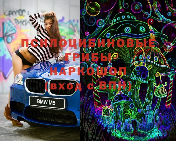 стаф Алексин