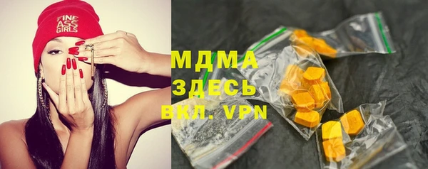 хмурый Аркадак