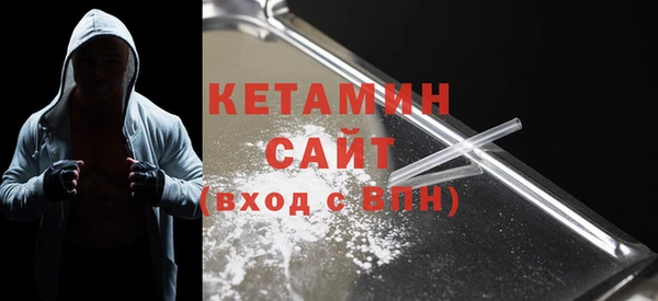 хмурый Аркадак
