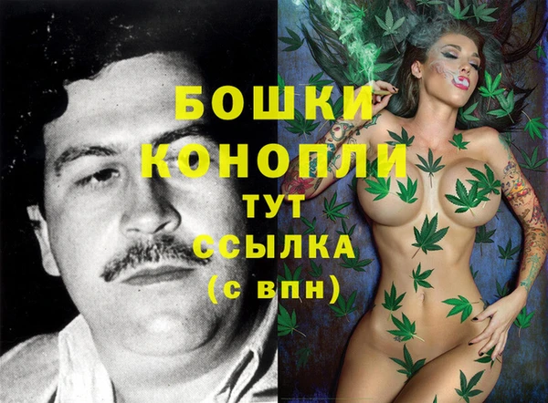 хмурый Аркадак