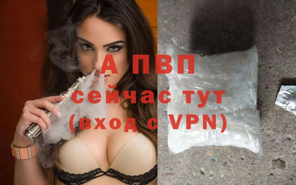 гидра Алексеевка