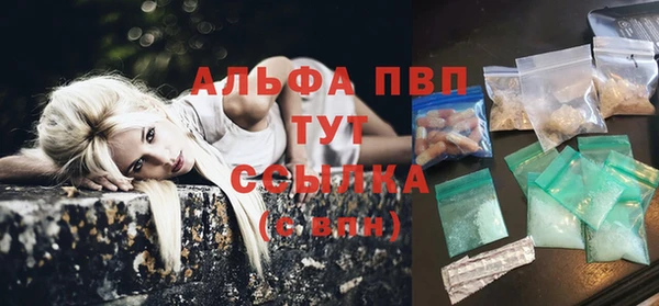 хмурый Аркадак