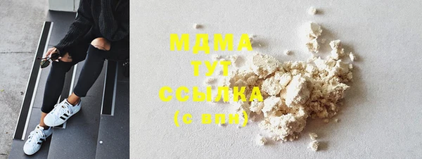 хмурый Аркадак